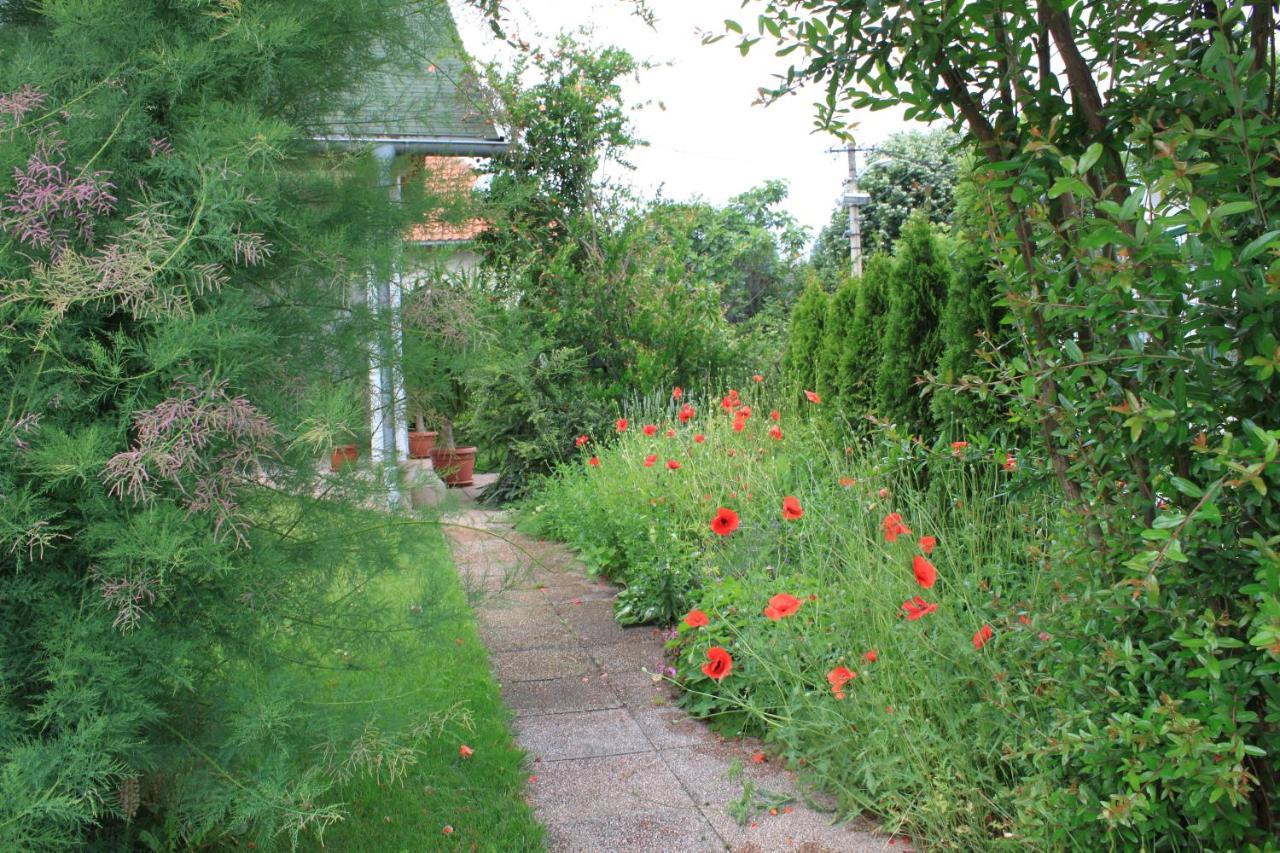 Boulevard Garden House - Free And Save Parking In The Locked Yard Τσούπρια Εξωτερικό φωτογραφία